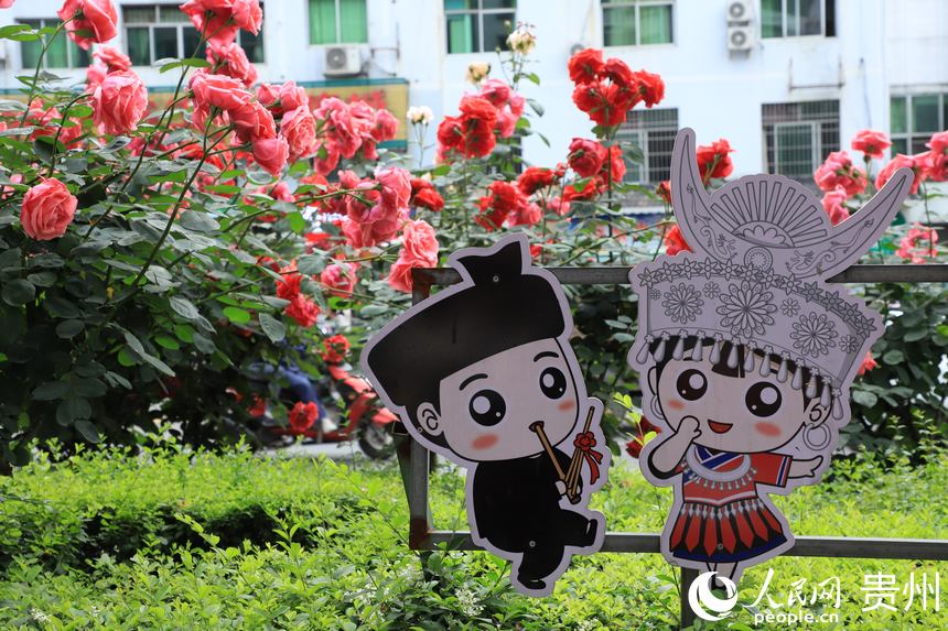 绿化带绽放的花朵。人民网 顾兰云摄