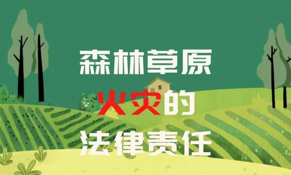 图说：森林草原火灾的法律责任