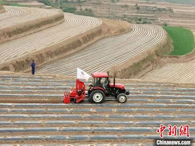 图为今年入春以来，甘肃境内繁忙的春耕春播景象。(资料图) 甘肃省农业农村厅供图