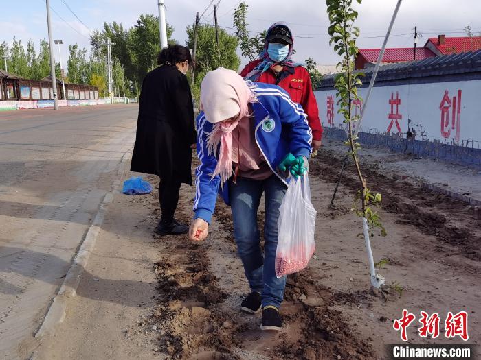 图为丛志杰在种花生。 胡建华 摄 图为丛志杰在种花生。 胡建华 摄