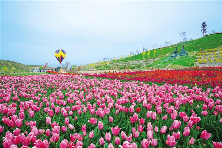 文旅部推荐全国乡村旅游精品路线  榆中黄河水暖·云栖田园赏花之旅上榜