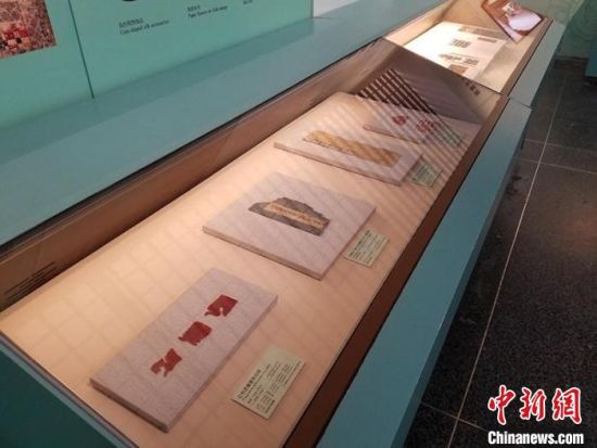 图为展览现场。 敦煌研究院供图 图为展览现场。 敦煌研究院供图
