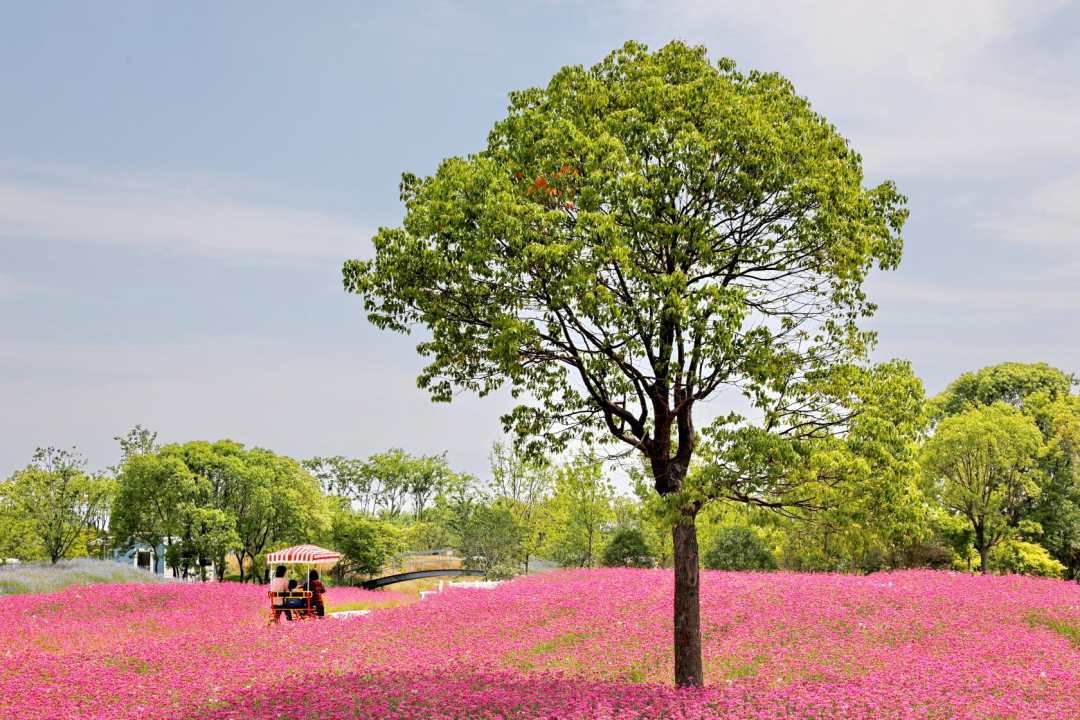 1653222451205484.jpg?x-oss-process=style/w10 微信图片_20220522201845.jpg?x-oss-process=style/w10