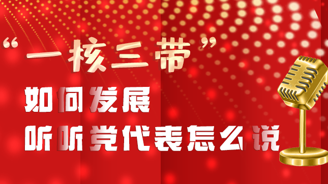 【聚焦甘肃省党代会·图解】“一核三带”如何发展，听听党代表怎么说？