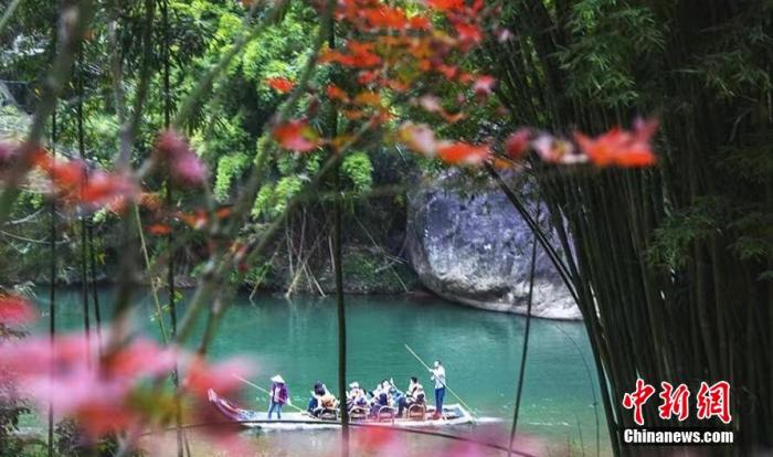 资料图:武夷山九曲绿水、青山、红叶交相辉映。 张丽君 摄 资料图:武夷山九曲绿水、青山、红叶交相辉映。 张丽君 摄