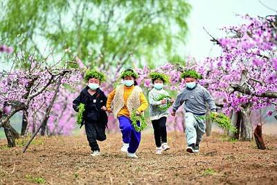 沂蒙革命老区:谁不说俺家乡好 沂蒙革命老区:谁不说俺家乡好