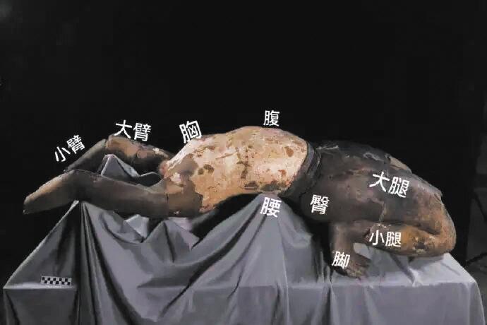 秦始皇帝陵博物院 发现并修复罕见“仰卧俑”
