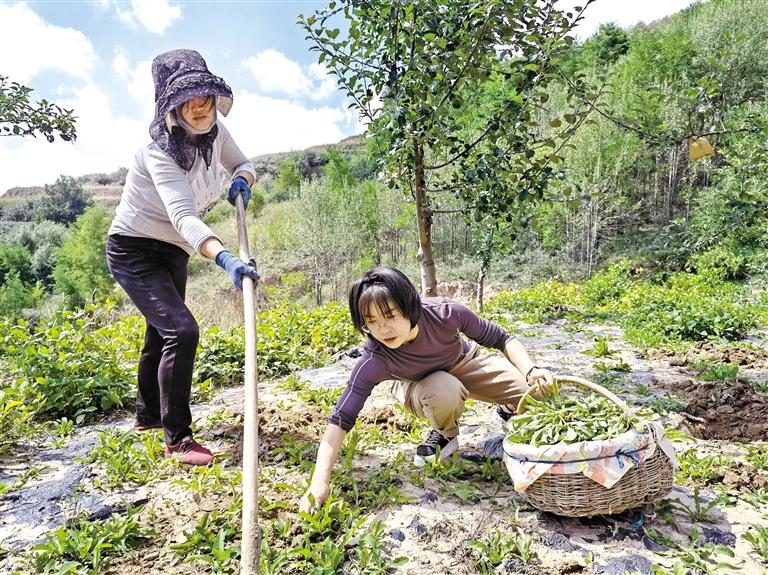 胡蓉：基层干部的主播进击之路