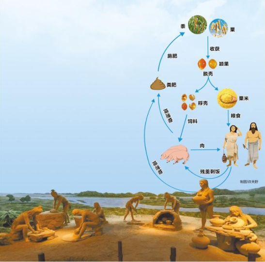 秦安大地湾遗址5500年前就有了“生态循环农业”