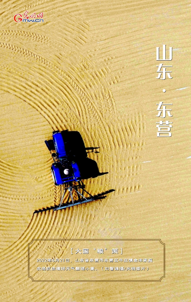 【大国“粮”策】山东:小麦收获接近尾声 单产再创新高 【大国“粮”策】山东:小麦收获接近尾声 单产再创新高