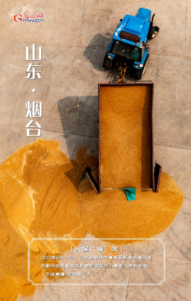 【大国“粮”策】山东:小麦收获接近尾声 单产再创新高 【大国“粮”策】山东:小麦收获接近尾声 单产再创新高