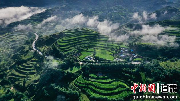 图为华亭市安口镇大坪村。(资料图)张华 摄 图为华亭市安口镇大坪村。(资料图)张华 摄