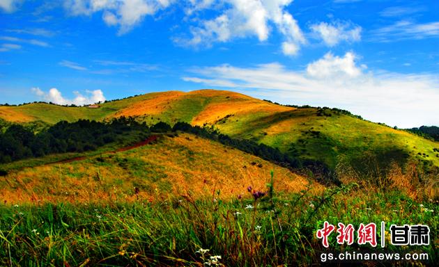 图为华亭关山美景。(资料图) 张国银 摄 图为华亭关山美景。(资料图) 张国银 摄