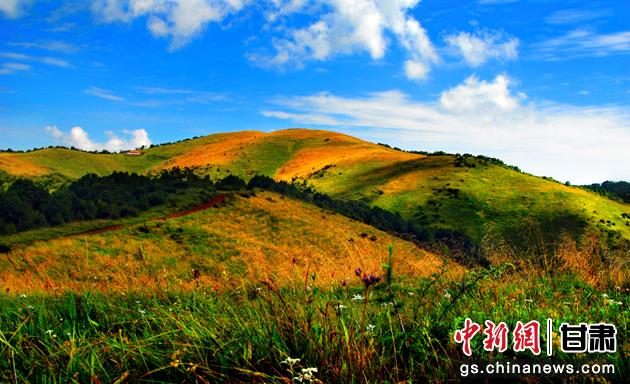 图为华亭关山美景。(资料图) 张国银 摄