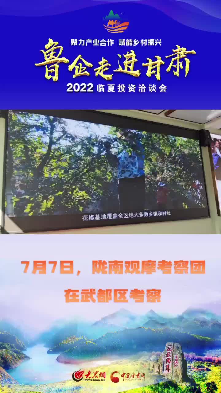 短视频丨陇南观摩考察团在武都区考察