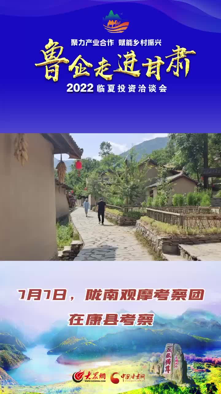 短视频丨陇南观摩考察团在康县考察