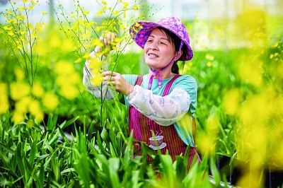 福建:用奋斗谱写幸福新篇章 福建:用奋斗谱写幸福新篇章