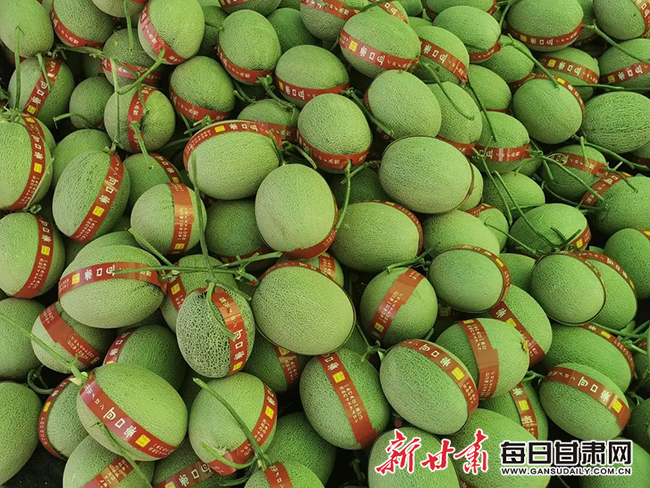 第2部分冰淇淋网纹瓜.jpg