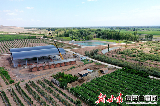葡萄产业1.jpg 葡萄产业1.jpg