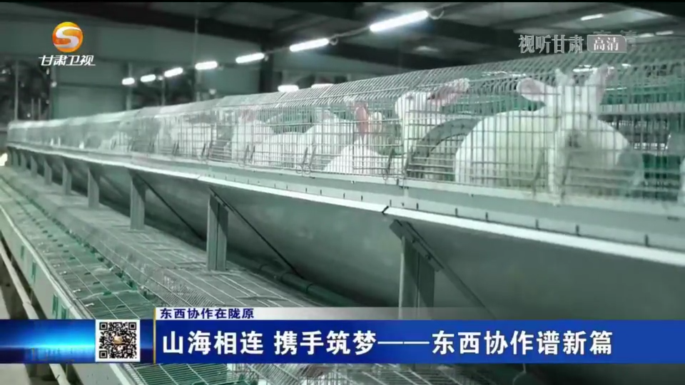 复制图片