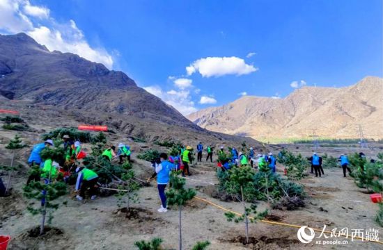 跟着总书记看中国·千家万户的事 西藏：生态美旅游旺文化兴 “三张答卷”话雪域发展