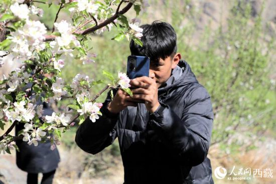 跟着总书记看中国·千家万户的事 西藏：生态美旅游旺文化兴 “三张答卷”话雪域发展