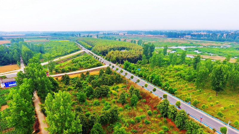 河南内乡：路通民富山区美