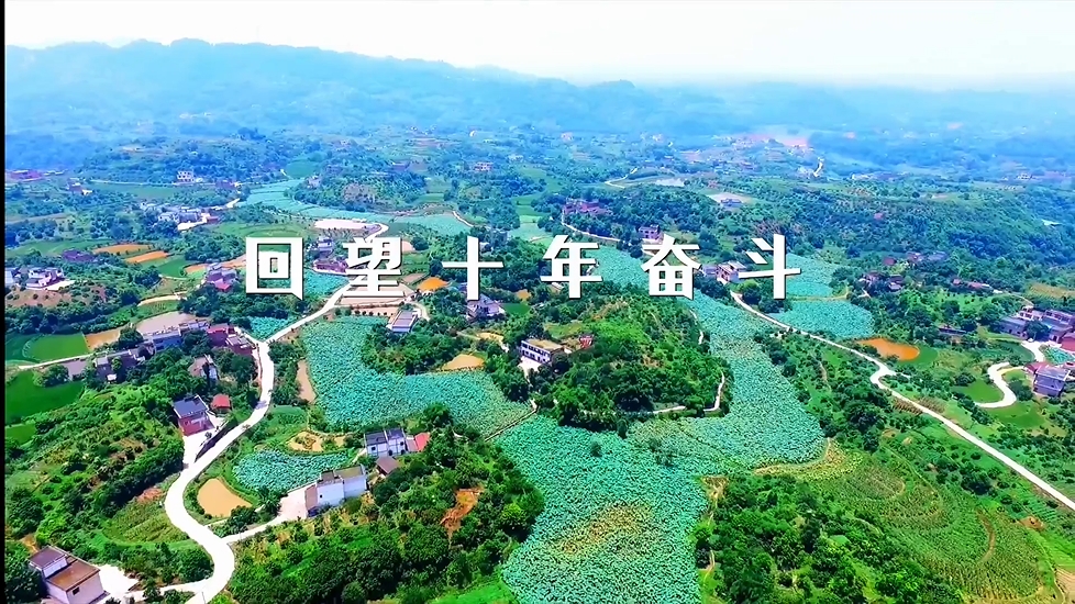 点击查看大图
