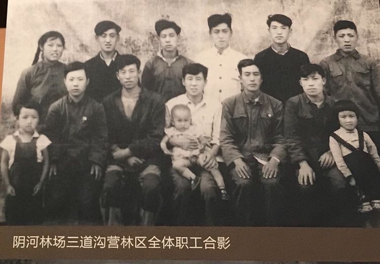 “美丽高岭”塞罕坝 | 一阅60年！来这里，看塞罕坝人的创业故事