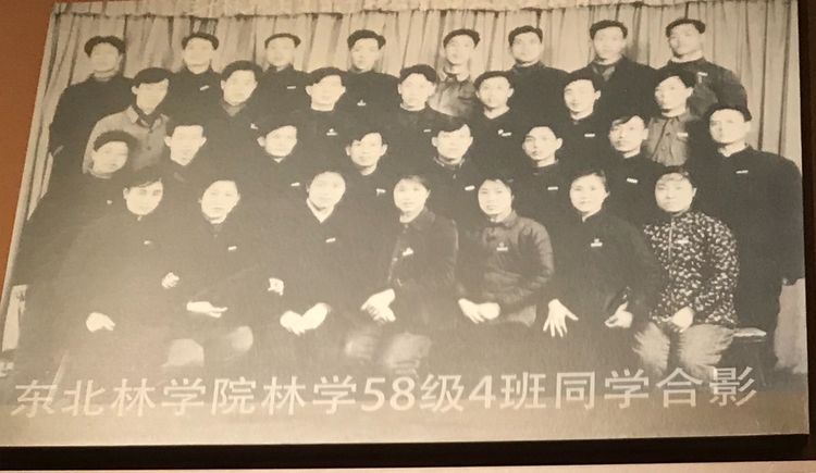 “美丽高岭”塞罕坝 | 一阅60年！来这里，看塞罕坝人的创业故事