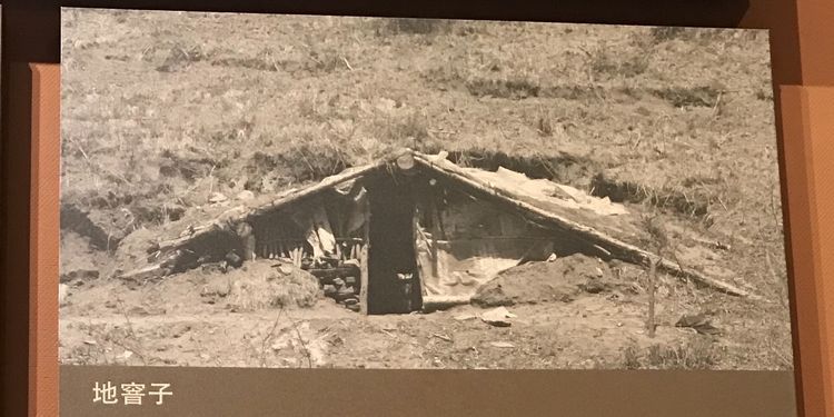 “美丽高岭”塞罕坝 | 一阅60年！来这里，看塞罕坝人的创业故事