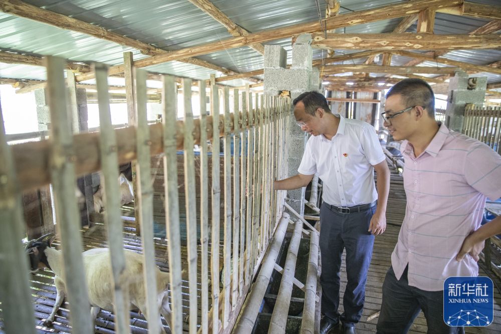 新华全媒+丨村里来了“医生书记” 小山村也有“大医院”