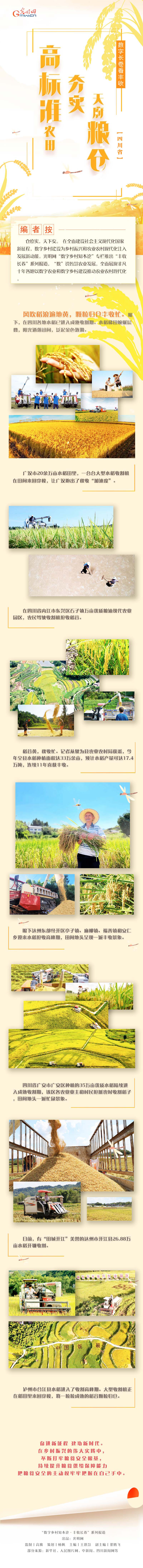 【丰收长卷】高标准农田夯实天府粮仓 【丰收长卷】高标准农田夯实天府粮仓