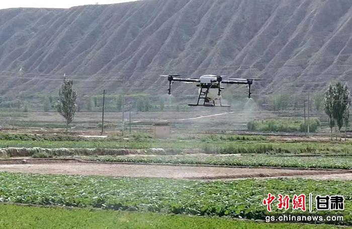 无人机飞防服务统防统治等成为基层供销社经营服务新的增长点,拓展了为农服务新领域。 无人机飞防服务统防统治等成为基层供销社经营服务新的增长点,拓展了为农服务新领域。