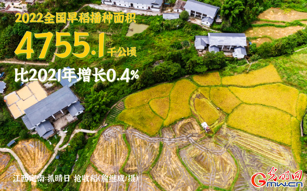 【数据海报】早稻抢收 “丰”景如画!全国早稻播种面积已达7132.6万亩 【数据海报】早稻抢收 “丰”景如画!全国早稻播种面积已达7132.6万亩