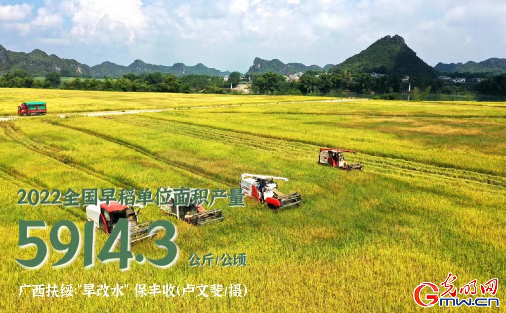 【数据海报】早稻抢收 “丰”景如画!全国早稻播种面积已达7132.6万亩 【数据海报】早稻抢收 “丰”景如画!全国早稻播种面积已达7132.6万亩