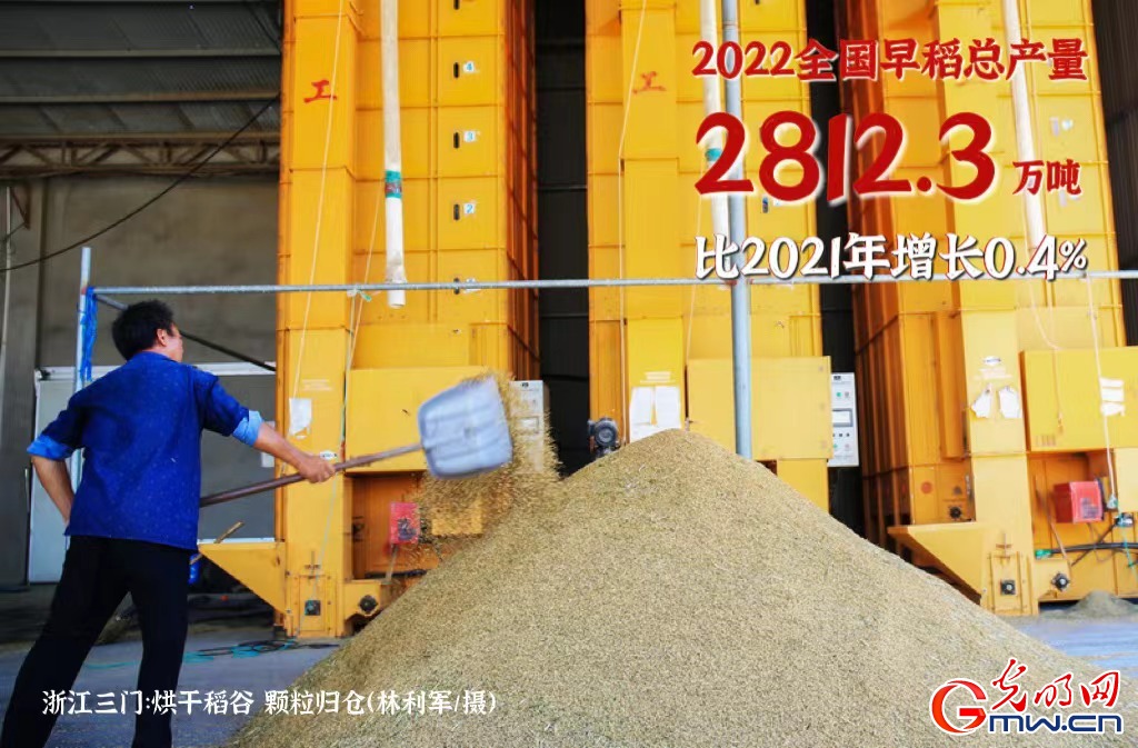 【数据海报】早稻抢收 “丰”景如画!全国早稻播种面积已达7132.6万亩 【数据海报】早稻抢收 “丰”景如画!全国早稻播种面积已达7132.6万亩
