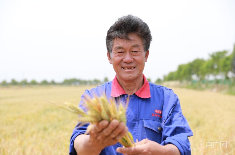 【大时代】滁州：改革发源地再当新时代先锋 一桥通达长三角发展快车道