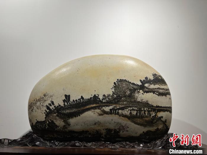 图为黄河奇石纹路似苍山翠树。 杨娜 摄 图为黄河奇石纹路似苍山翠树。 杨娜 摄