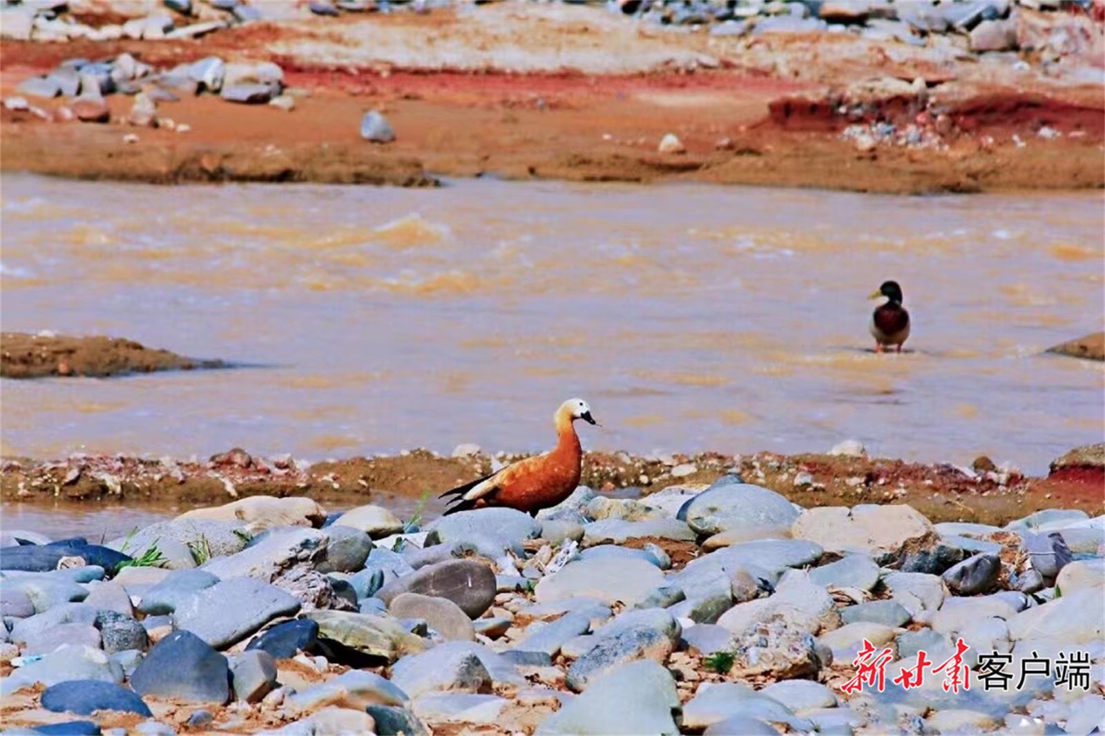 《无极平台网站_把陇原大地建设得更加美好——我省各地干部群众以实际行动迎接党的二十大胜利召开》