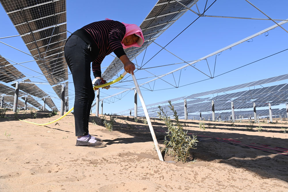 《无极五测速注册_立体光伏治沙产业化项目绘就腾格里沙漠“生态绿”》