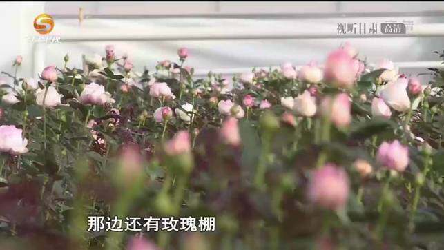 《无极五平台首页_《今日聚焦》——千里搬迁 开启幸福新生活（下）》