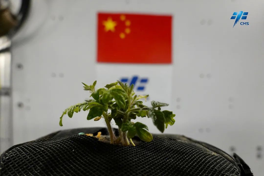 摄/航天员蔡旭哲 摄/航天员蔡旭哲