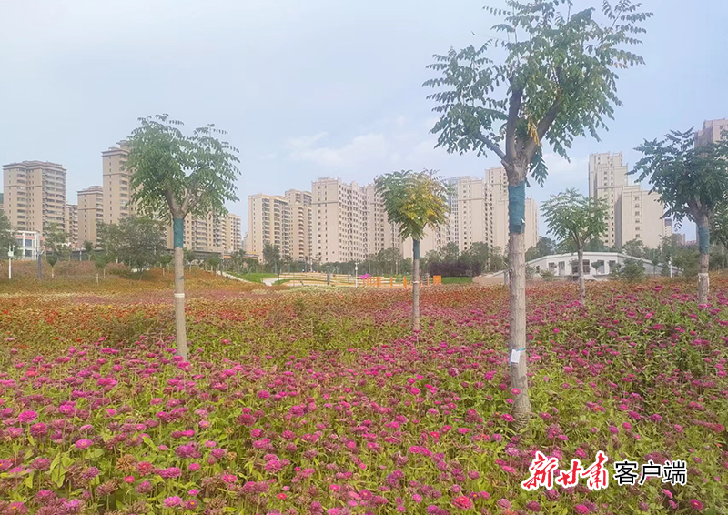 FZ007216709361_A3498545