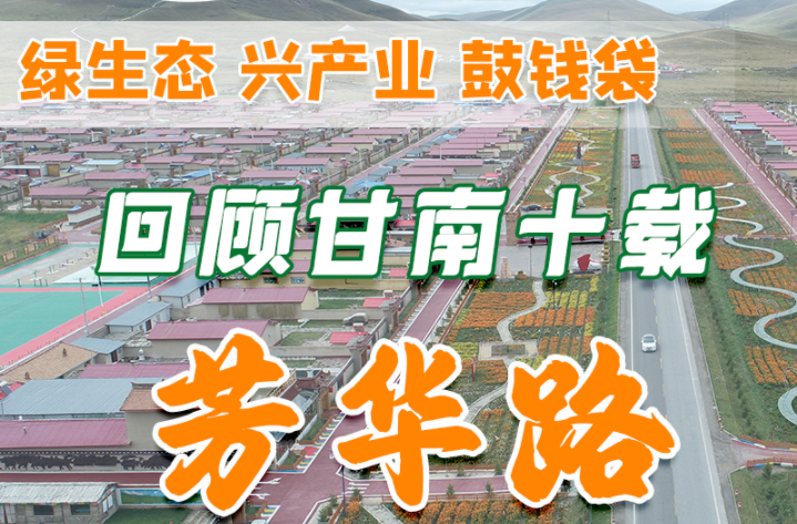 我们这十年·甘肃丨绿生态兴产业鼓钱袋，回顾甘南十载芳华路