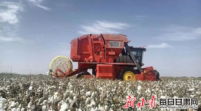 棉花 采棉机正在进行棉花采收2.jpg 棉花 采棉机正在进行棉花采收2.jpg