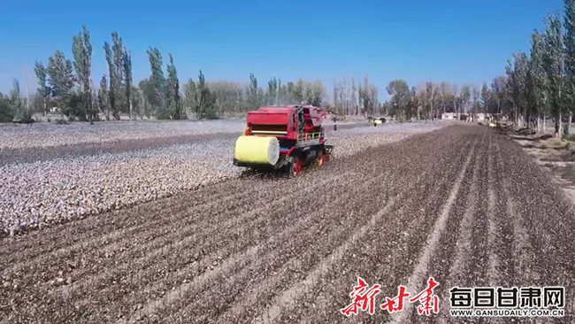 棉花 采棉机正在进行棉花采收1.jpg 棉花 采棉机正在进行棉花采收1.jpg