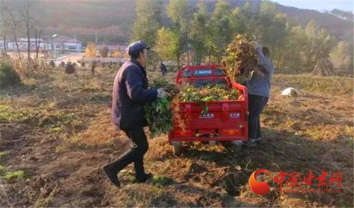 甘肃大部低温降至10℃以下注意保暖谨防感冒