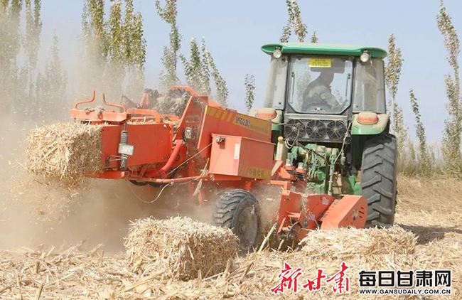 秆子 4一捆捆方方正正的草方墩.jpg 秆子 4一捆捆方方正正的草方墩.jpg