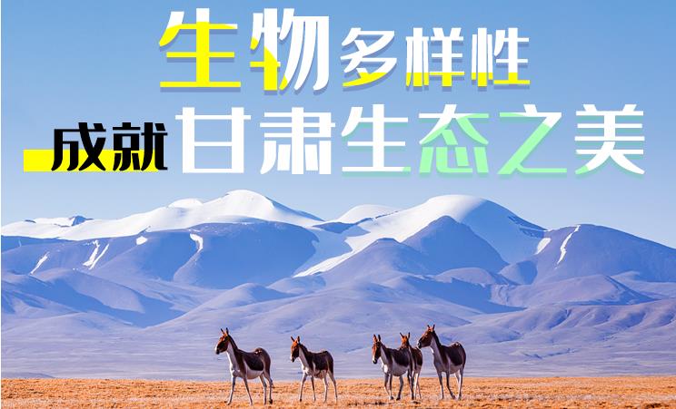 长图丨生物多样性成就甘肃生态之美